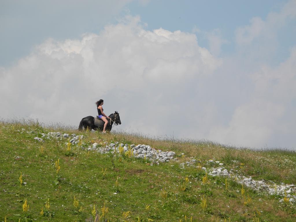 Affittacamere Boskovica Brvnare Žabljak Esterno foto