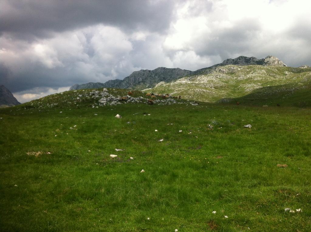 Affittacamere Boskovica Brvnare Žabljak Esterno foto
