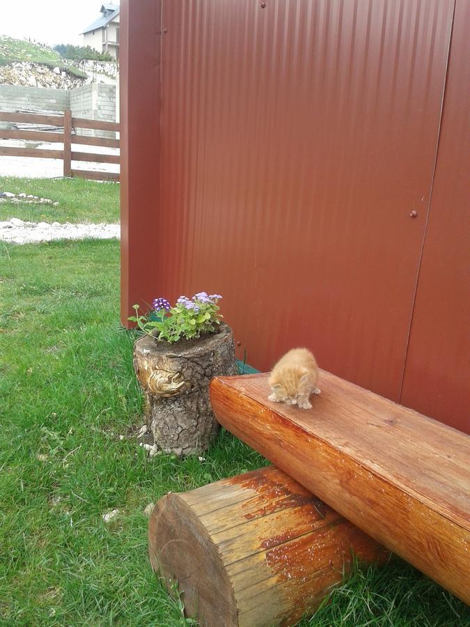 Affittacamere Boskovica Brvnare Žabljak Esterno foto