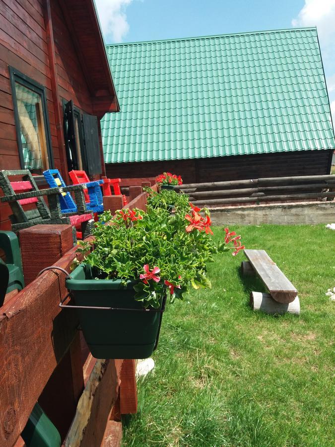 Affittacamere Boskovica Brvnare Žabljak Esterno foto