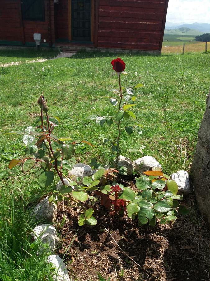 Affittacamere Boskovica Brvnare Žabljak Esterno foto